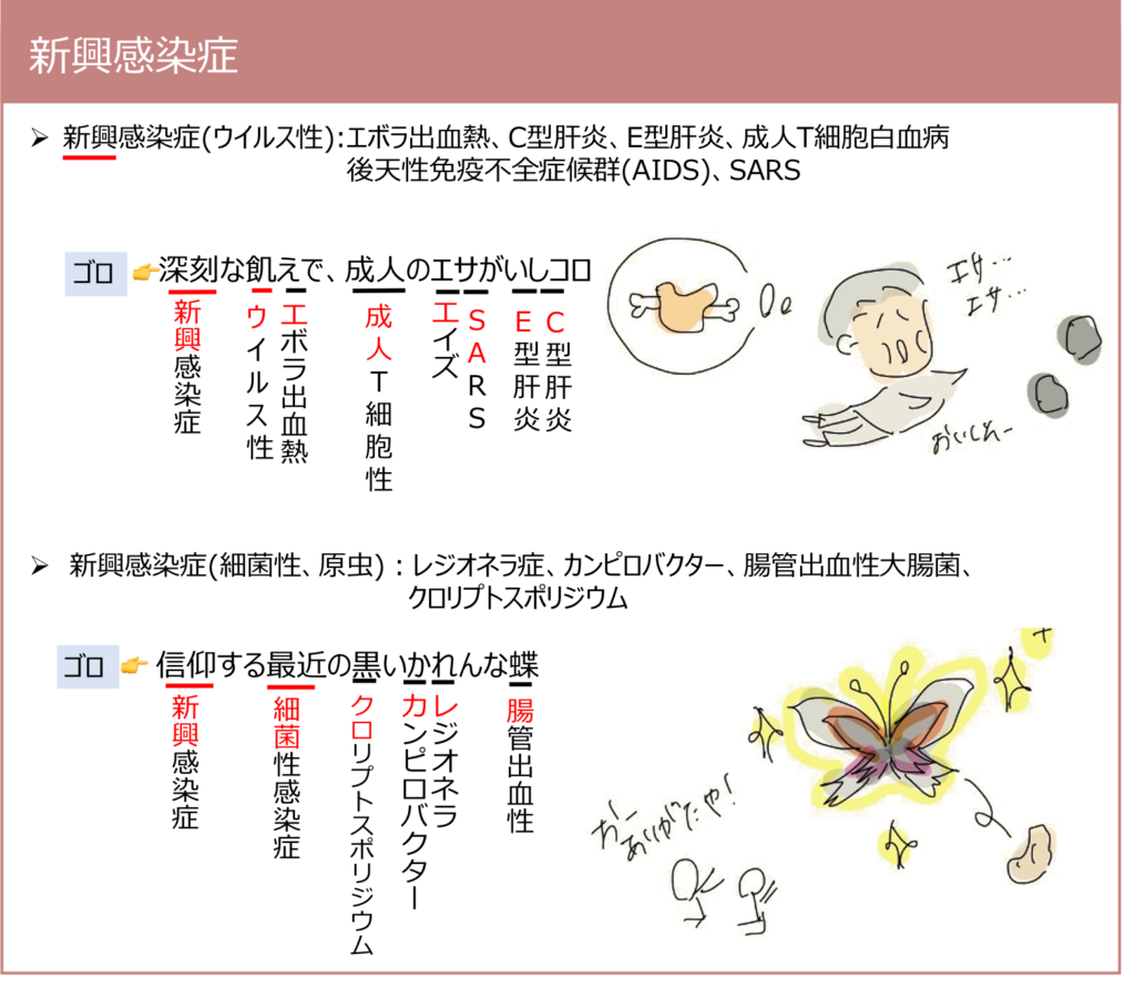 活動歴および当時の関連ビジュアル記録