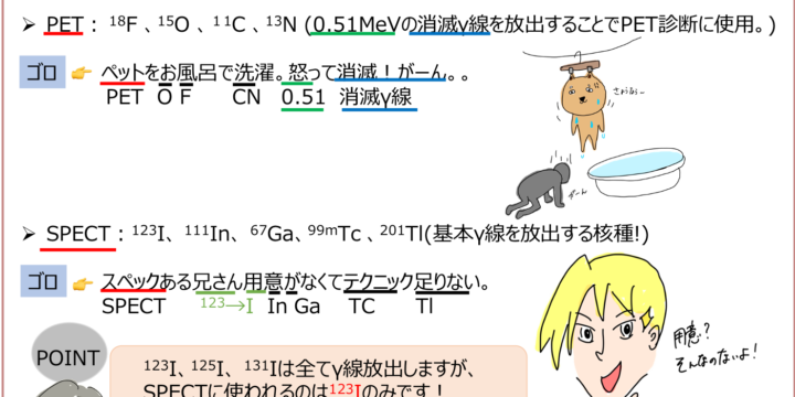 放射線核種 | 薬剤師国家試験対策学習塾 | YAKU/BASE