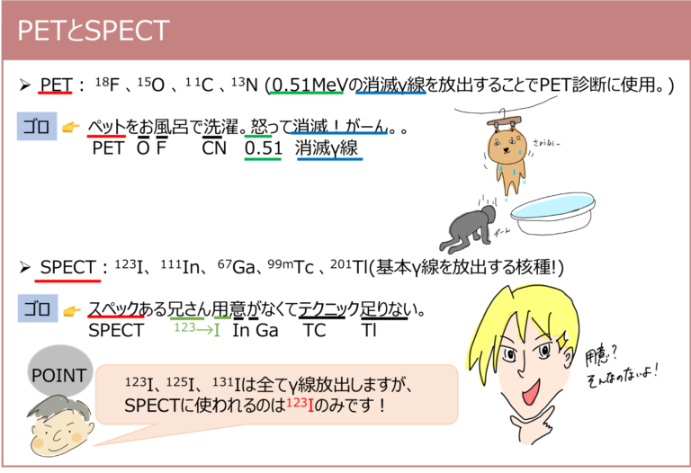PETとSPECT | 薬剤師国家試験対策学習塾 | YAKU/BASE