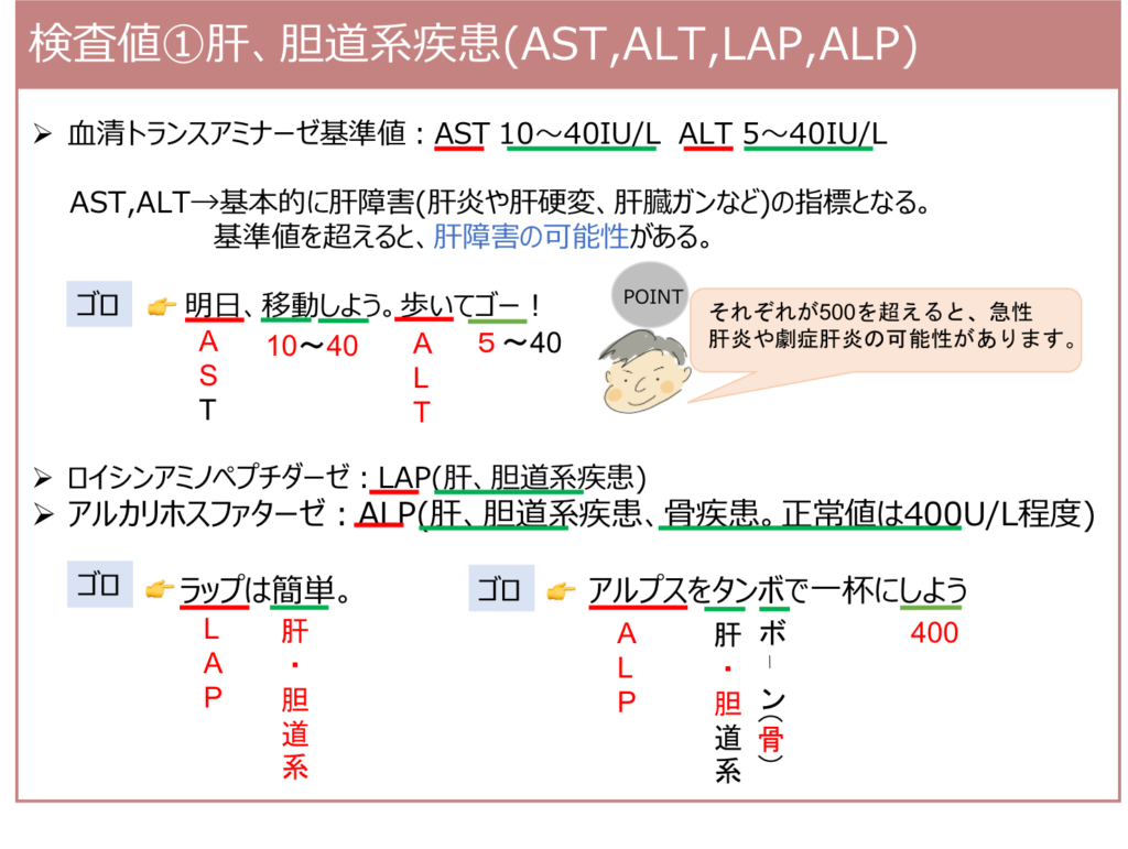 Ast様 （肝・胆道系疾患の検査値①(AST,ALT,ALP,LAP) | 薬剤師国家試験  