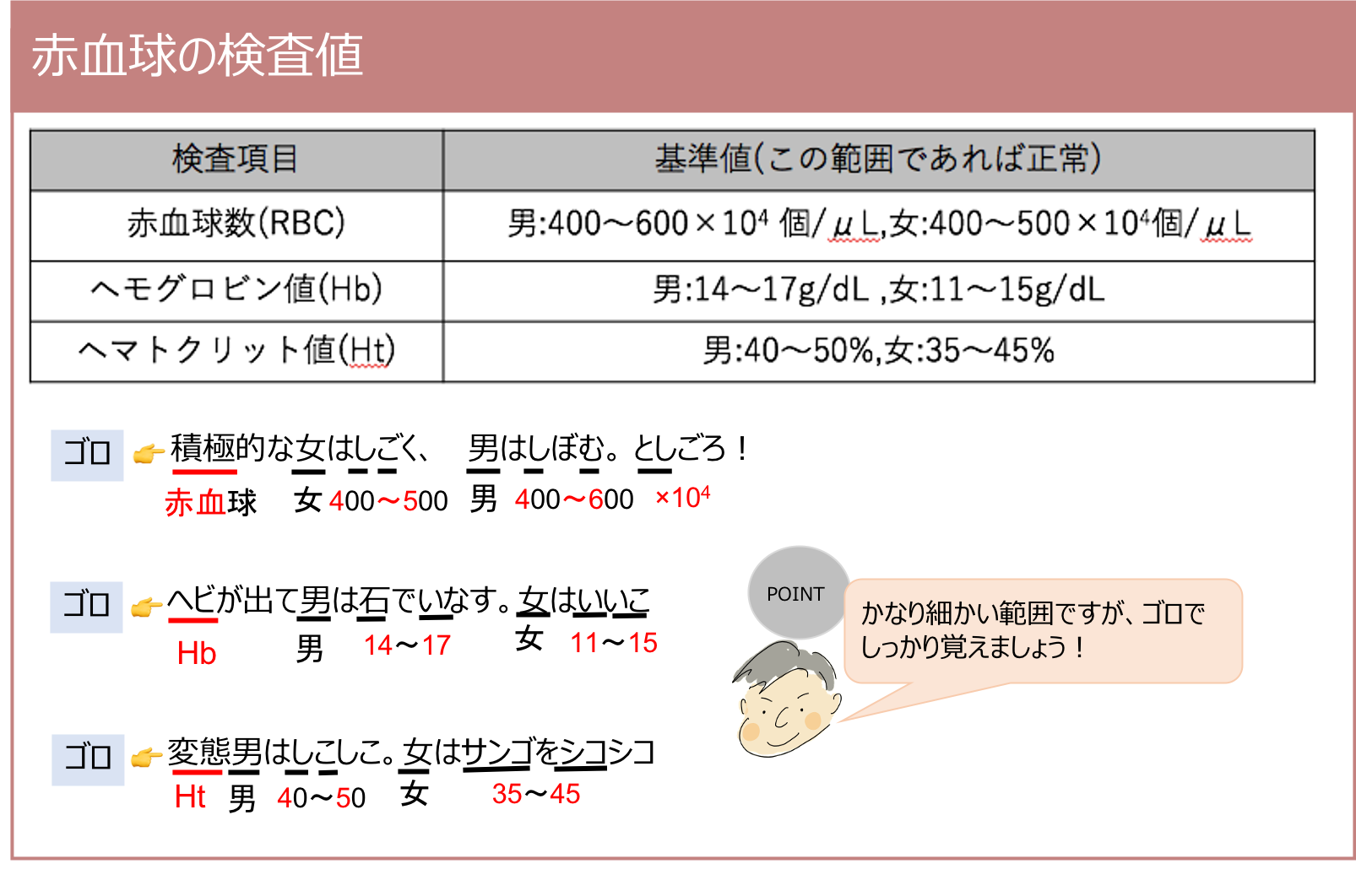 赤血球の検査値(赤血球数など) | 薬剤師国家試験対策学習塾