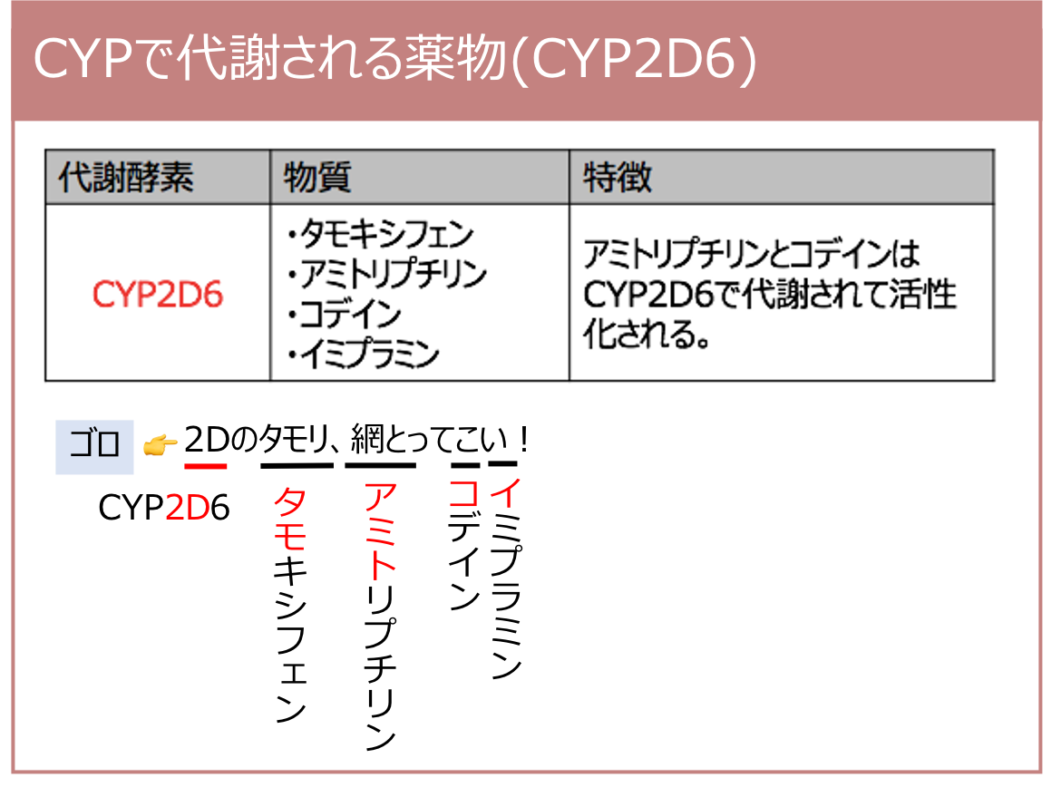 薬物代謝の比較生化学 薬物代謝の比較生化学 シトクロムP450の研究で化学物質代謝の種差