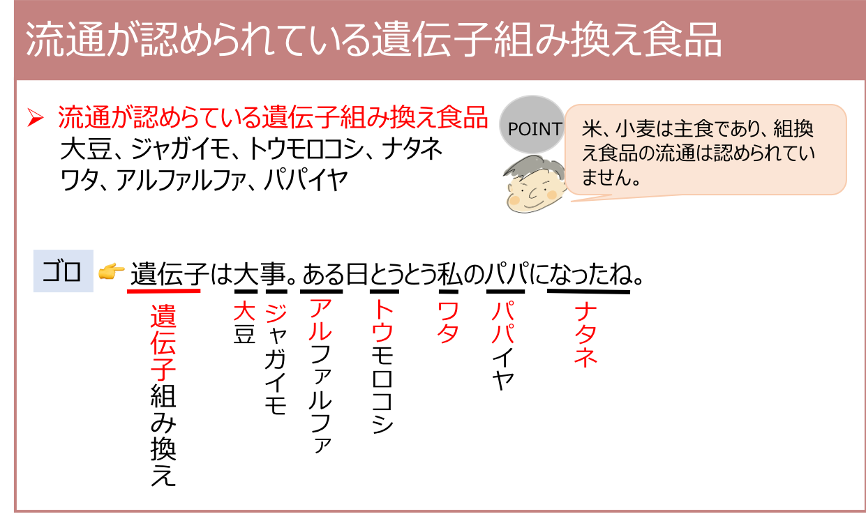流通が認められている遺伝子組み換え食品 | 薬剤師国家試験対策